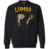 Sweatshirts Black / Small Lumos Crewneck Sweatshirt