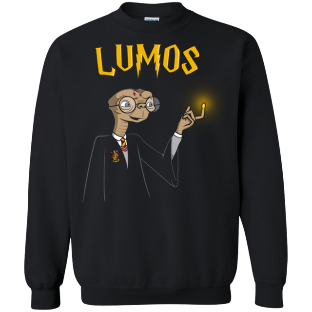 Sweatshirts Black / Small Lumos Crewneck Sweatshirt