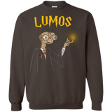 Sweatshirts Dark Chocolate / Small Lumos Crewneck Sweatshirt