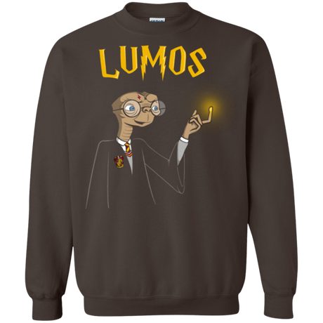 Sweatshirts Dark Chocolate / Small Lumos Crewneck Sweatshirt