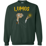 Sweatshirts Forest Green / Small Lumos Crewneck Sweatshirt