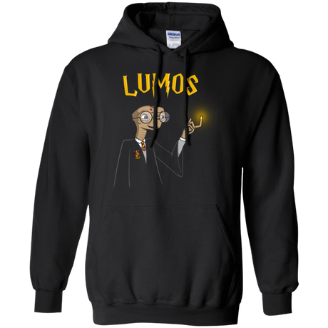 Sweatshirts Black / Small Lumos Pullover Hoodie