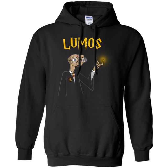 Sweatshirts Black / Small Lumos Pullover Hoodie