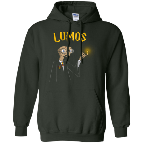 Sweatshirts Forest Green / Small Lumos Pullover Hoodie