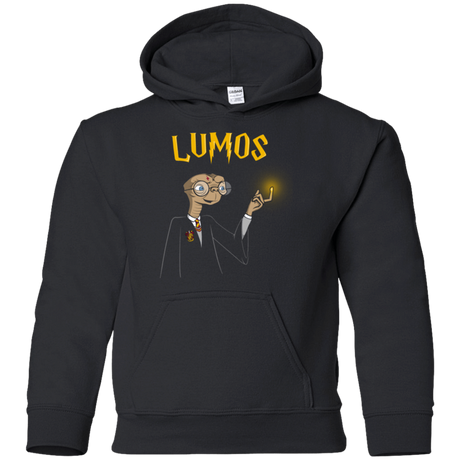 Sweatshirts Black / YS Lumos Youth Hoodie
