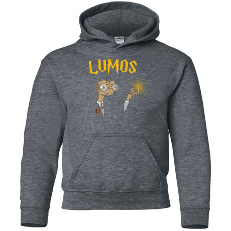 Sweatshirts Dark Heather / YS Lumos Youth Hoodie