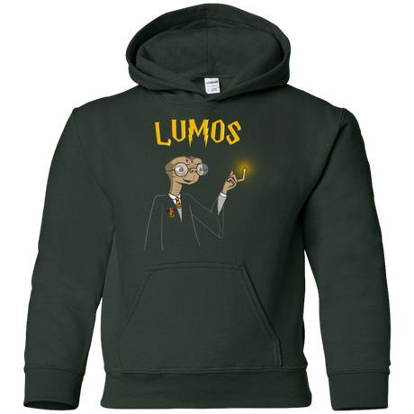 Sweatshirts Forest Green / YS Lumos Youth Hoodie
