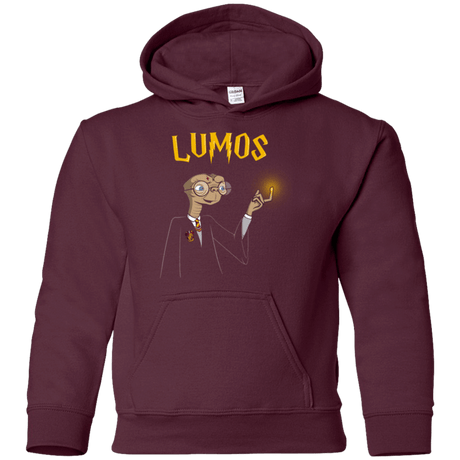 Sweatshirts Maroon / YS Lumos Youth Hoodie