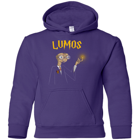 Sweatshirts Purple / YS Lumos Youth Hoodie