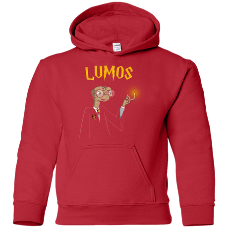Sweatshirts Red / YS Lumos Youth Hoodie