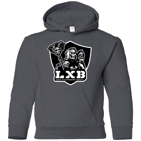 Sweatshirts Charcoal / YS LXB Youth Hoodie