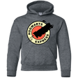 Sweatshirts Dark Heather / YS Magic Express Youth Hoodie