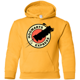 Sweatshirts Gold / YS Magic Express Youth Hoodie