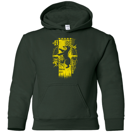 Sweatshirts Forest Green / YS Magic H House Youth Hoodie