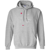 Sweatshirts Sport Grey / S Map of Nature Pullover Hoodie