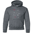 Sweatshirts Dark Heather / YS Map of Nature Youth Hoodie