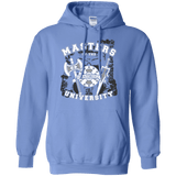 Sweatshirts Carolina Blue / Small Masters of the University Pullover Hoodie