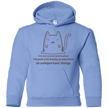 Sweatshirts Carolina Blue / YS ME cat Youth Hoodie