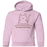 Sweatshirts Light Pink / YS ME cat Youth Hoodie
