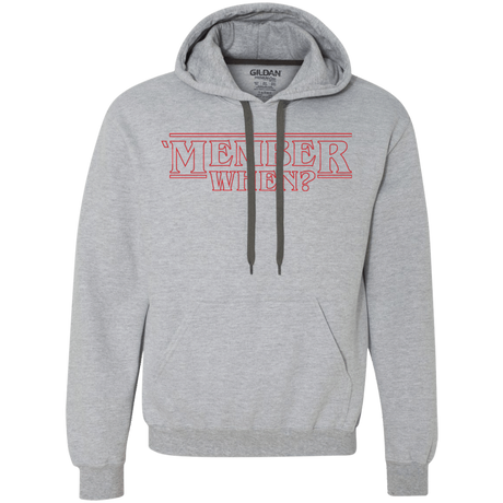 Sweatshirts Sport Grey / Small Member When Premium Fleece Hoodie