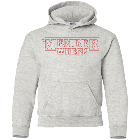 Sweatshirts Ash / YS Member When Youth Hoodie
