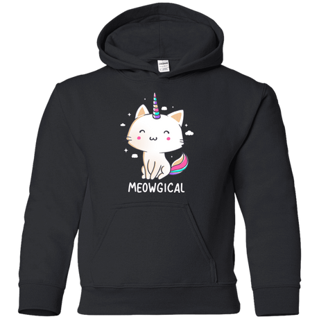 Sweatshirts Black / YS Meowgical Youth Hoodie