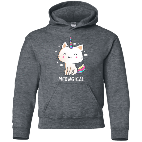 Sweatshirts Dark Heather / YS Meowgical Youth Hoodie