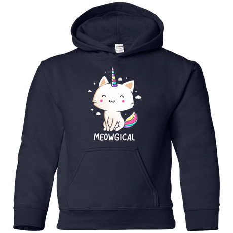 Sweatshirts Navy / YS Meowgical Youth Hoodie