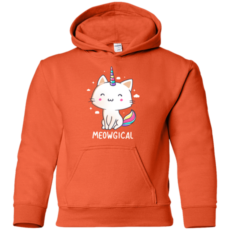 Sweatshirts Orange / YS Meowgical Youth Hoodie