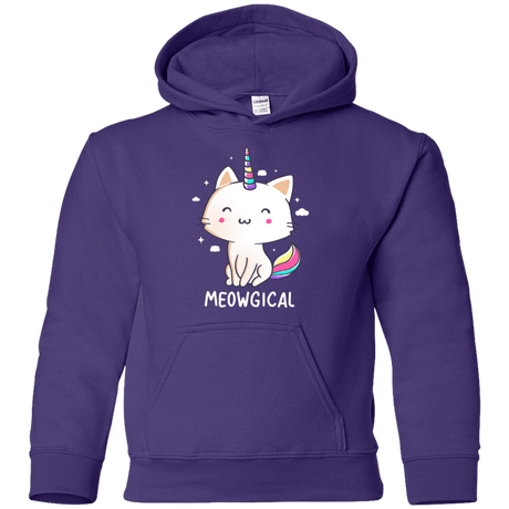 Sweatshirts Purple / YS Meowgical Youth Hoodie