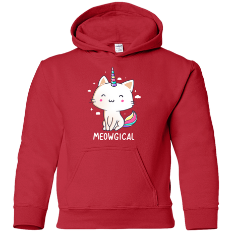 Sweatshirts Red / YS Meowgical Youth Hoodie