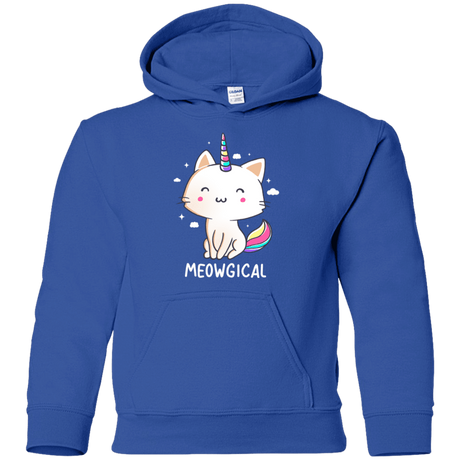 Sweatshirts Royal / YS Meowgical Youth Hoodie