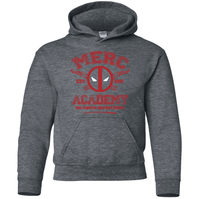 Sweatshirts Dark Heather / YS Merc Academy Youth Hoodie