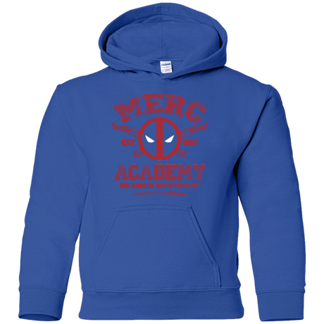 Sweatshirts Royal / YS Merc Academy Youth Hoodie
