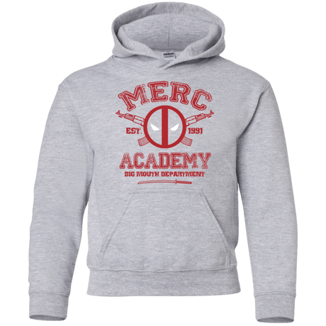 Sweatshirts Sport Grey / YS Merc Academy Youth Hoodie