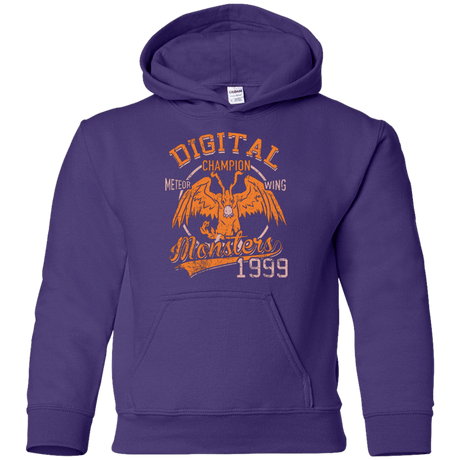 Sweatshirts Purple / YS Meteor Wing Youth Hoodie