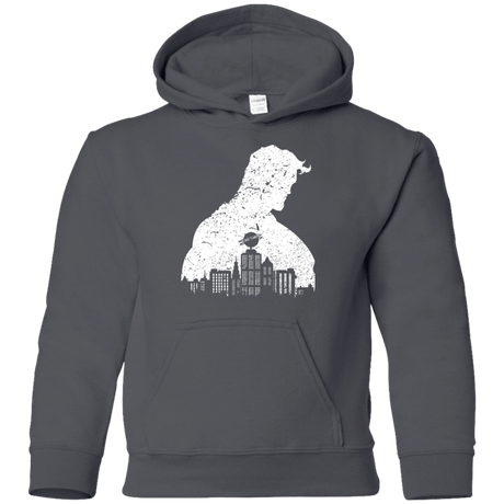 Sweatshirts Charcoal / YS Metropolis Shadow Youth Hoodie