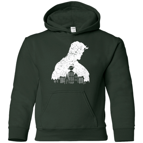 Sweatshirts Forest Green / YS Metropolis Shadow Youth Hoodie