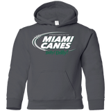 Sweatshirts Charcoal / YS Miami Dilly Dilly Youth Hoodie