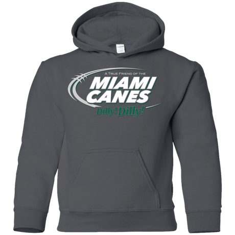 Sweatshirts Charcoal / YS Miami Dilly Dilly Youth Hoodie