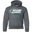 Sweatshirts Dark Heather / YS Miami Dilly Dilly Youth Hoodie