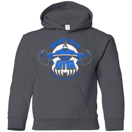 Sweatshirts Charcoal / YS Mighty Blue Gym Youth Hoodie