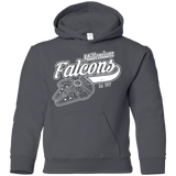 Sweatshirts Charcoal / YS Millenium falcons Youth Hoodie