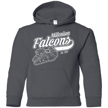 Sweatshirts Charcoal / YS Millenium falcons Youth Hoodie