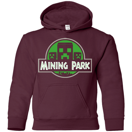 Sweatshirts Maroon / YS Mining Park Youth Hoodie