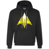 Sweatshirts Black / S Miracles Premium Fleece Hoodie