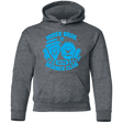 Sweatshirts Dark Heather / YS Miser bros Science Club Youth Hoodie