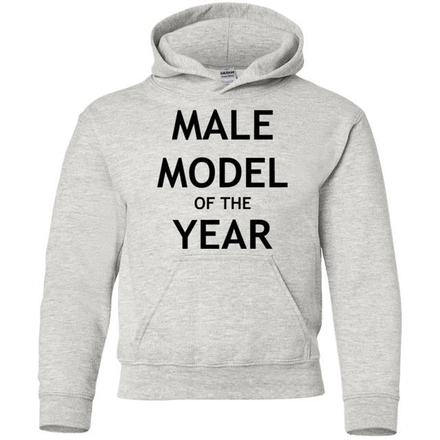 Sweatshirts Ash / YS Model of the Year Youth Hoodie
