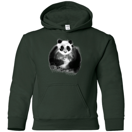 Sweatshirts Forest Green / YS Moon Catcher Youth Hoodie