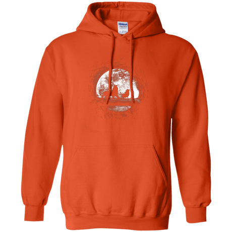 Sweatshirts Orange / Small Moonlight Pullover Hoodie